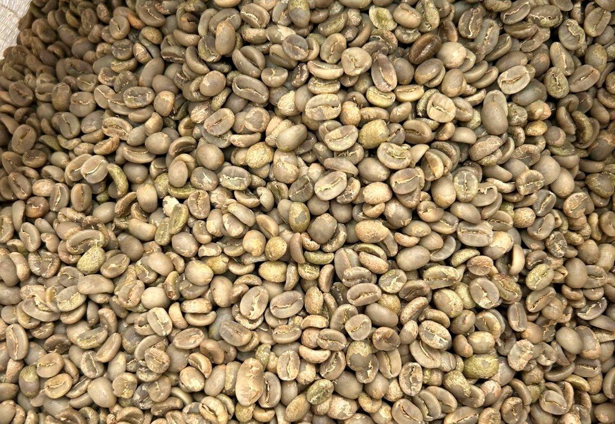 Arabica Full Wash