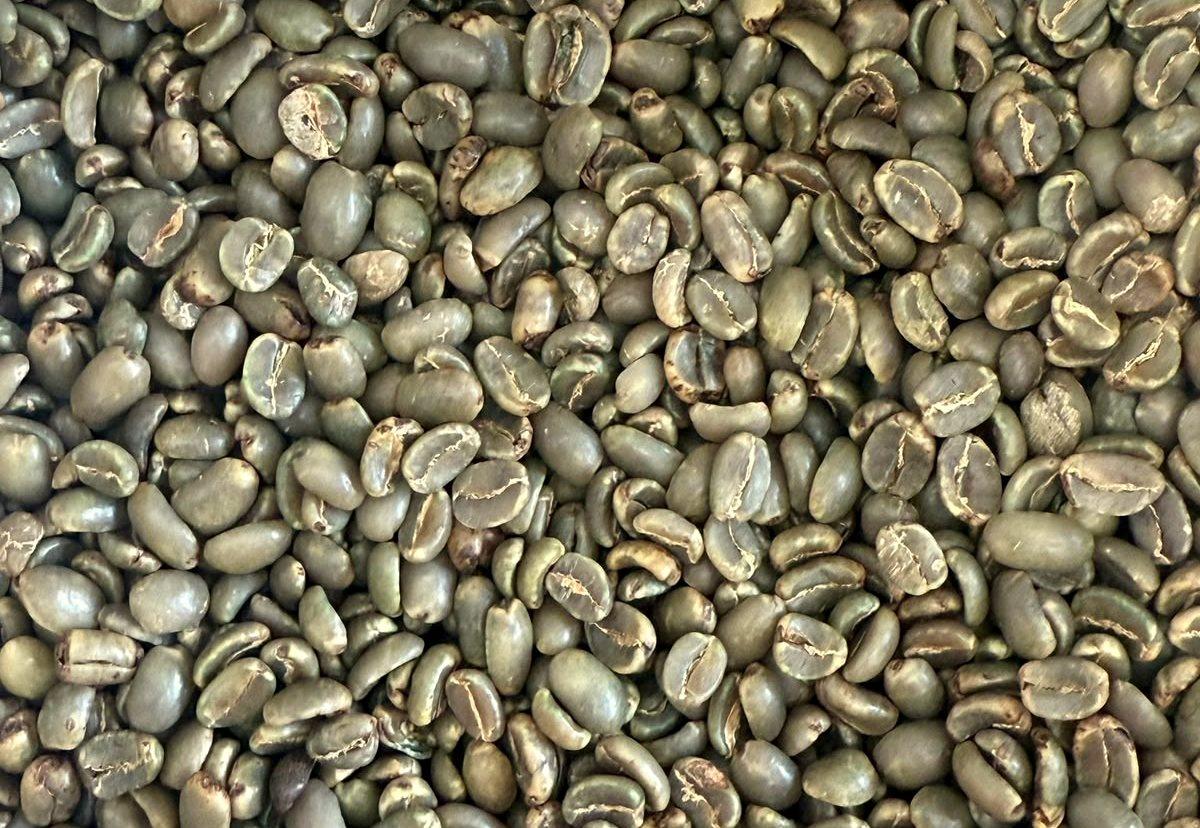 Arabica Semi Wash