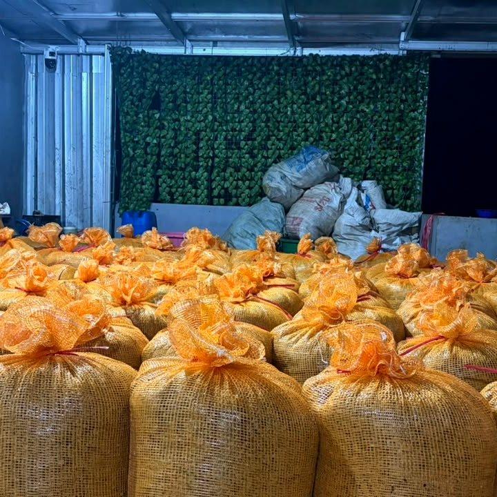 Warehouse stock