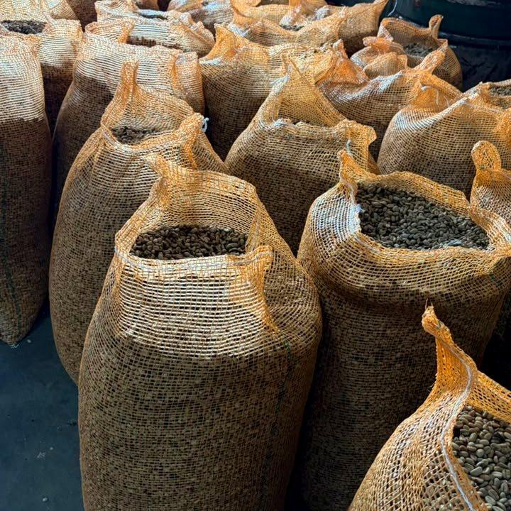 Bagged lots
