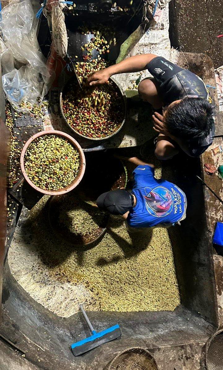 Hand sorting at the processing site